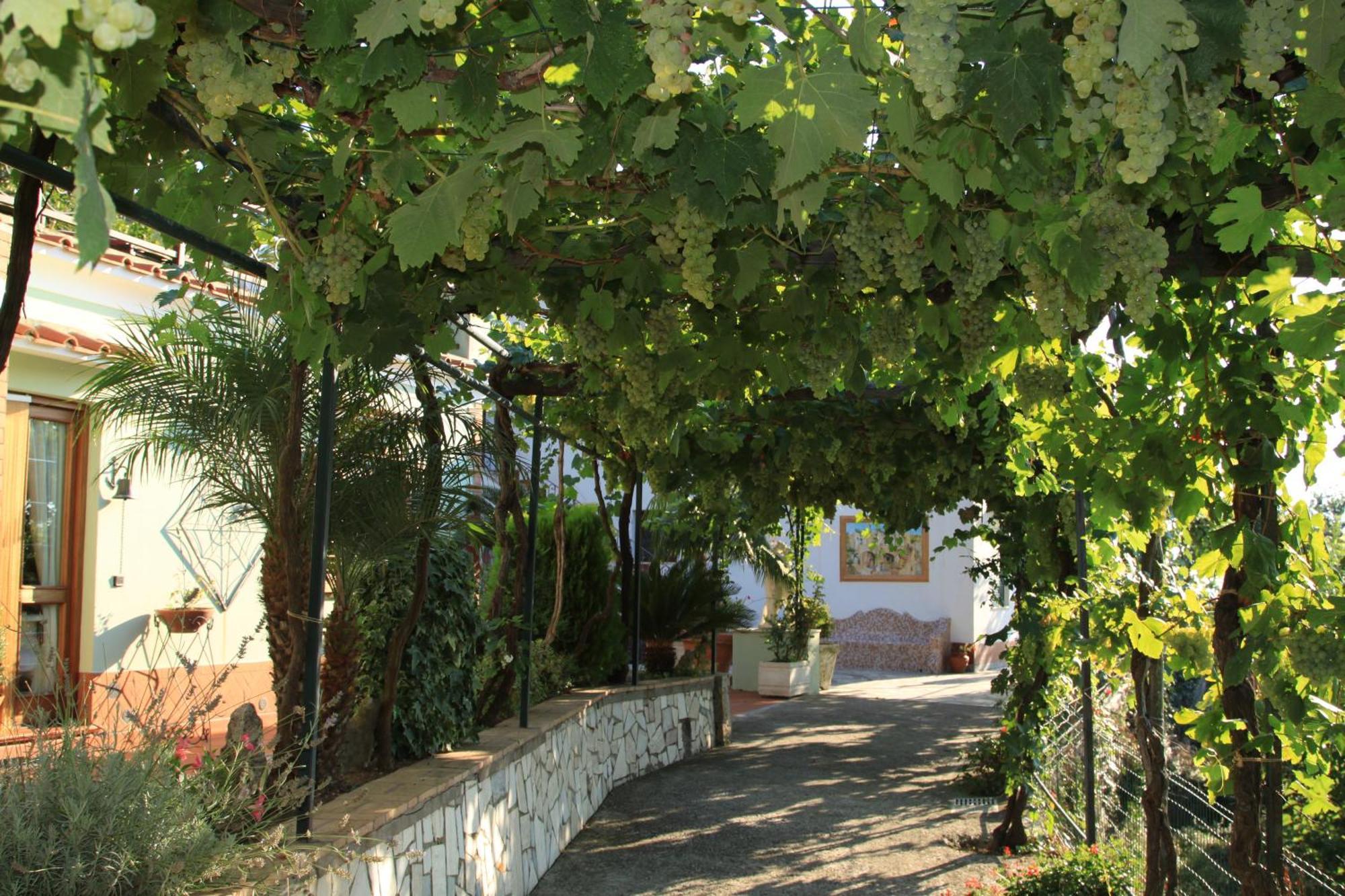 B&B Il Grappolo Anacapri  Exterior photo