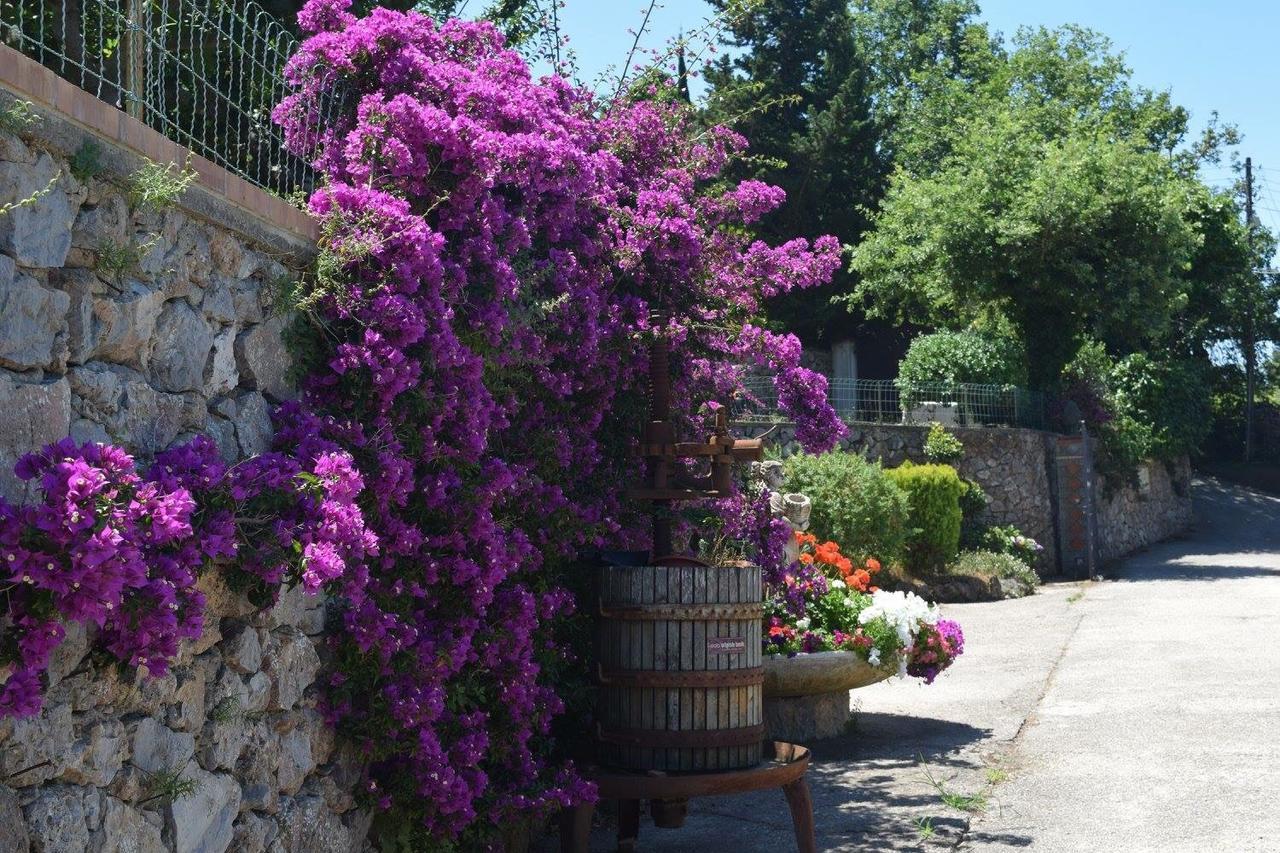 B&B Il Grappolo Anacapri  Exterior photo